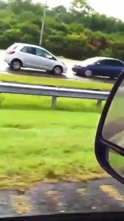 Idiot against the grain