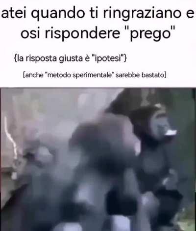 almeno non hanno questi problemi in veneto