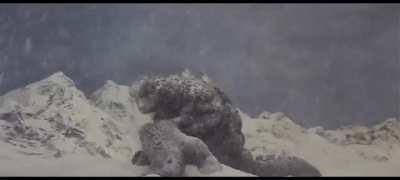 my experience with Showa was just pure laughter(except for the first, kinda), but man this one right here man tug strings in my heart, especially that last shot like I did not expect to almost drip a tear from a Godzilla film 