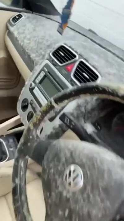 Who would go for a ride?