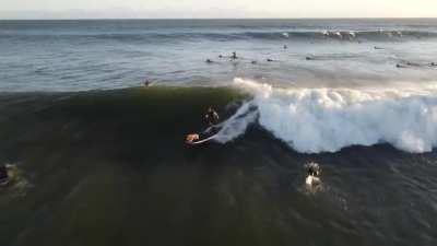 Mans best friend on a bigger day at Steamers