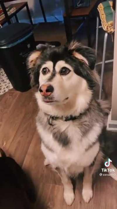 I was forced to witness this now it’s your turn