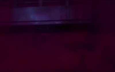 Godzilla Ultima transition I made for my Ultima vs Icon of sin fight on the DBFW