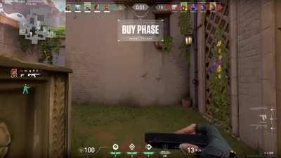 Ah Yes, My Favorite Gun in the Dragon Skinline... The Default Dragon