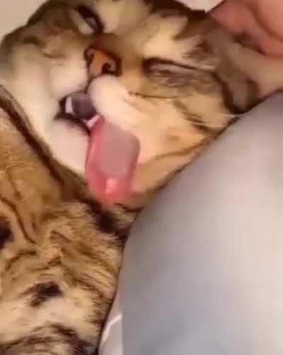 Доброе утро, рекабу