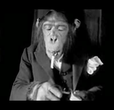 Yo y los reales viendo yo interneto