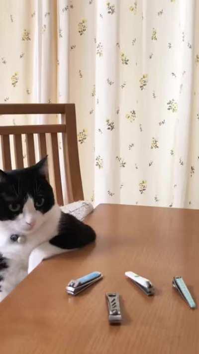 TRIM YOUR FILTHY NAILS