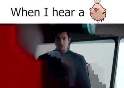 I never thought I would love fleas so much