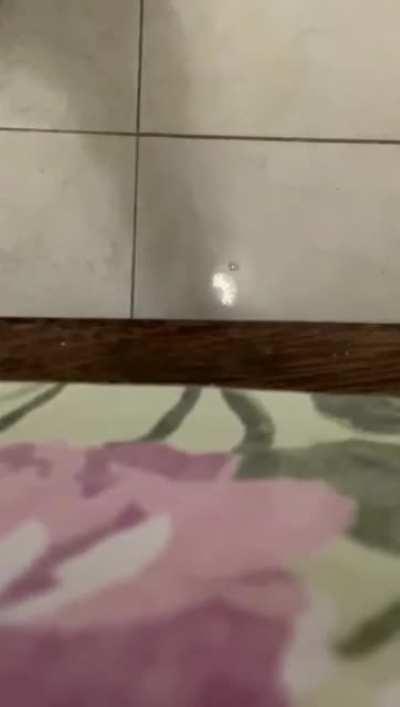 Channel to see only videos of neighborhood and homemade, poor but rich