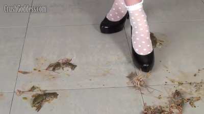 Marina in Maid Outfit Crush Crawdad