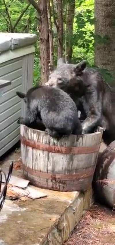 More Fun Than A Barrel Full Of Monkeys... A Barrel Full Of Baby Bears