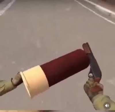 What type of shell is this?