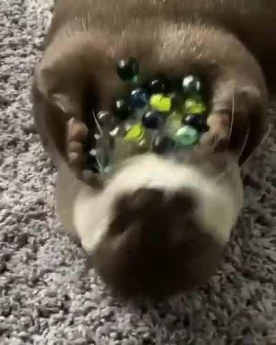 It has made a return