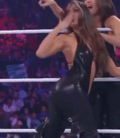 All brie fans kiss Nikki Bella ass the superior Bella