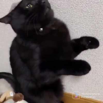 This is my life neow