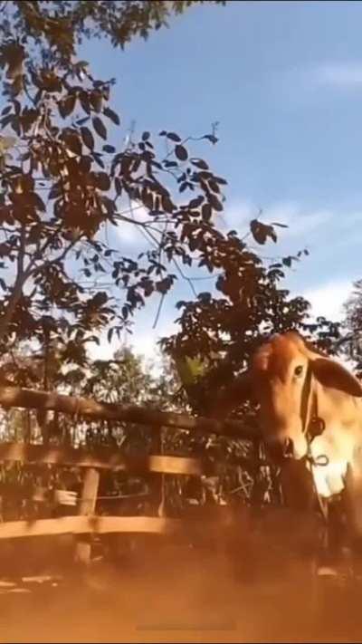 Title ko Randi Nahi Chahiye 