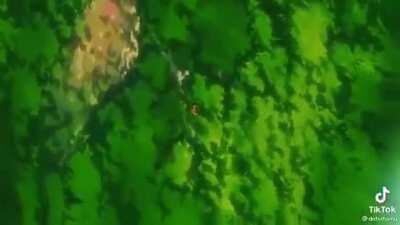 The only thing I hate about Olympus