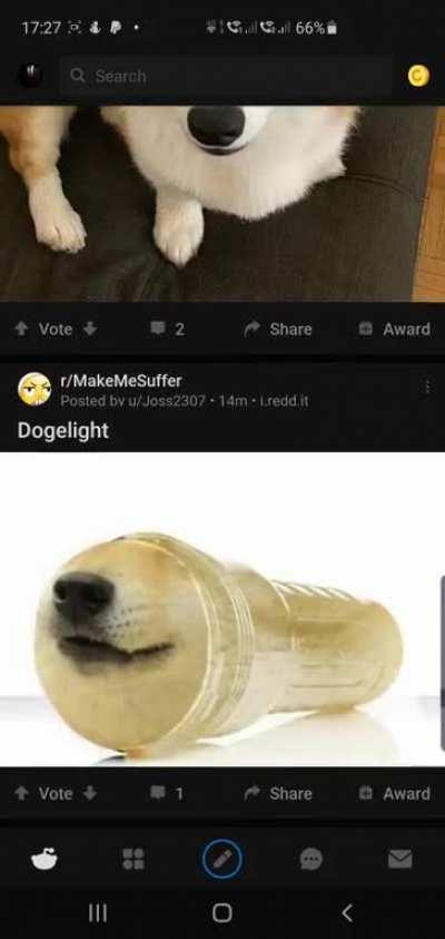 Thanks, I hate birthday dog dogelight