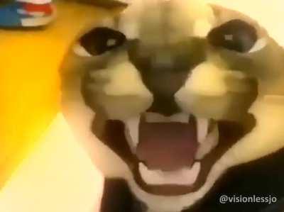 IT'S FLOPPA FRIDAYYYY