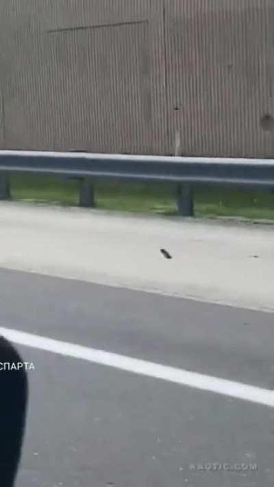 I have so many questions