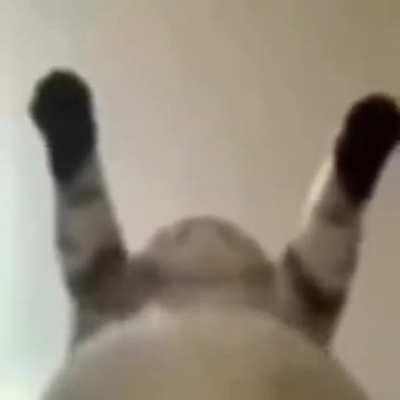 ( ͡° ͜ʖ ͡°) ...