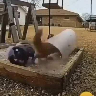 This had me cracking up