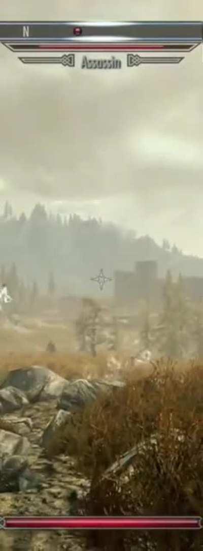 Some things I don’t get in Skyrim, this is one of them