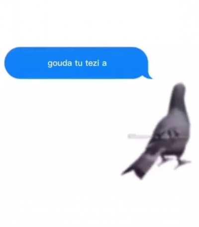 Posting random photos off of my camera roll (not funny)