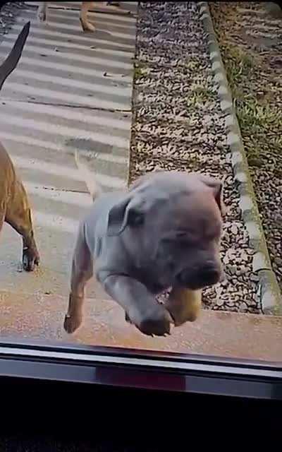 Not sure if this has already been posted