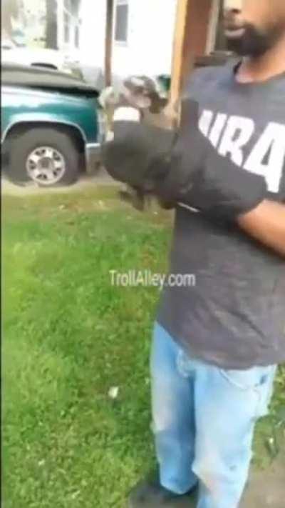 Don't Pet This Kitty