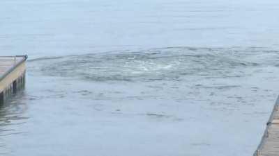 WCGW unloading your boat.