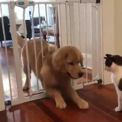 Напутствие тренера: Давай, ты сможешь!