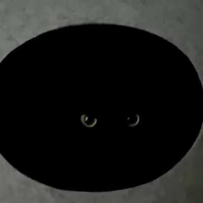 The void has been contained