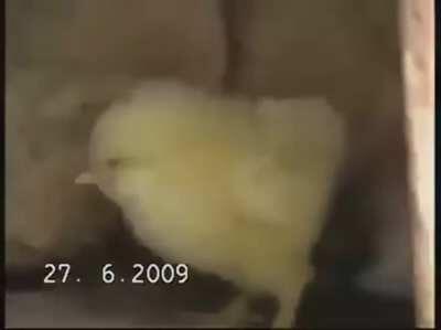 If this won't make you smile..idk about you.