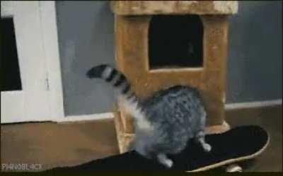 Mewber will drop you off right at your front door.