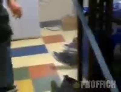 Man this show was crazy