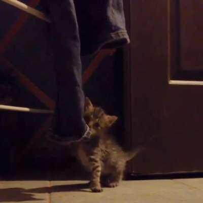 WE’VE BEEN SEEN. SCATTER!!!