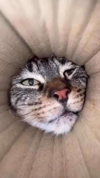 Their curiosity made me smile 😊