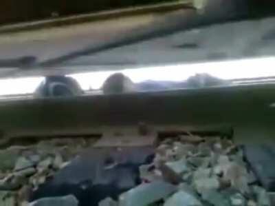 Guy stuck under moving train escapes between its rails