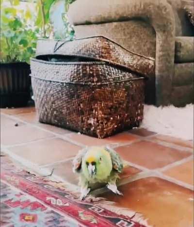 I'm not gonna hurt you!