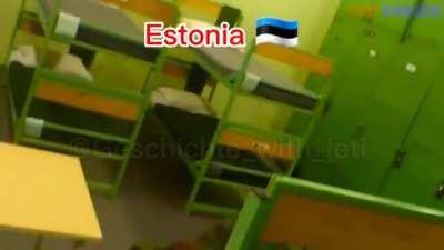 Meet the NATO forces