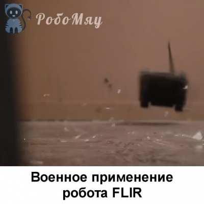 Робомяу #29: подборка новостей робототехники за неделю