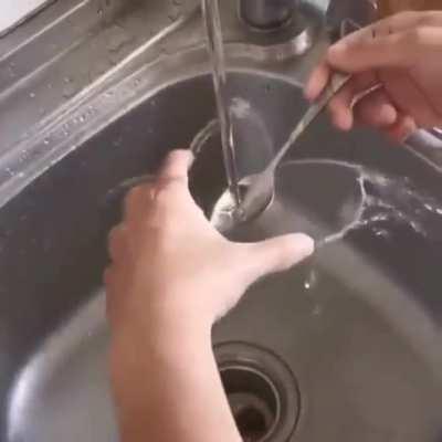 Cohesion, adhesion, and surface tension at play