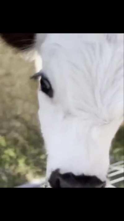 Sometimes you just have to stop what you’re doing and come say hello 👋