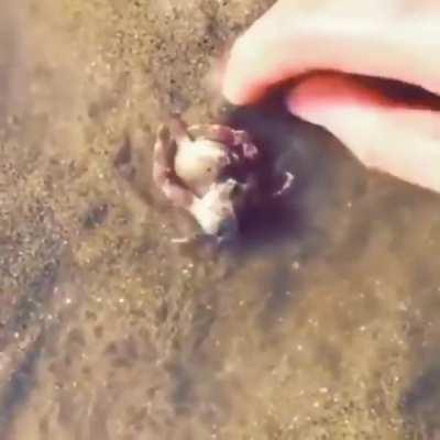 The protective friend