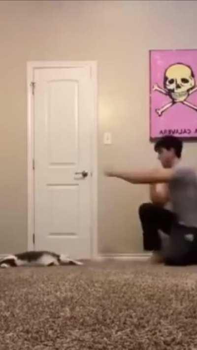 OH GREAT HEAVENS WHAT THE FUCK ARE TITLES!?!