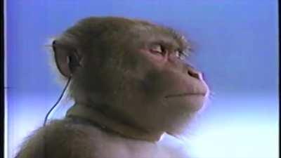 Me waiting for DONDA to drop