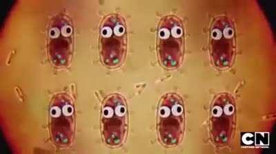 Clickbait....btw sanitize your taint