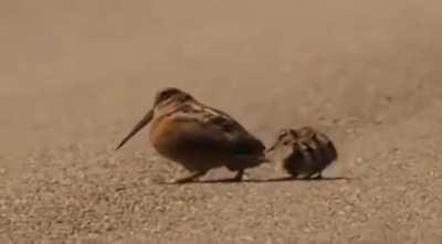 Got those funky vibezzzzz