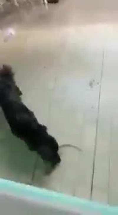 Quando vc se sentir mal, lembre-se dessa mina.